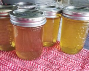 Dandelion Jelly is a new Traditional Skill event for the Pasadena Heritage Society