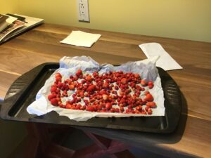 Strawberry Jam_8